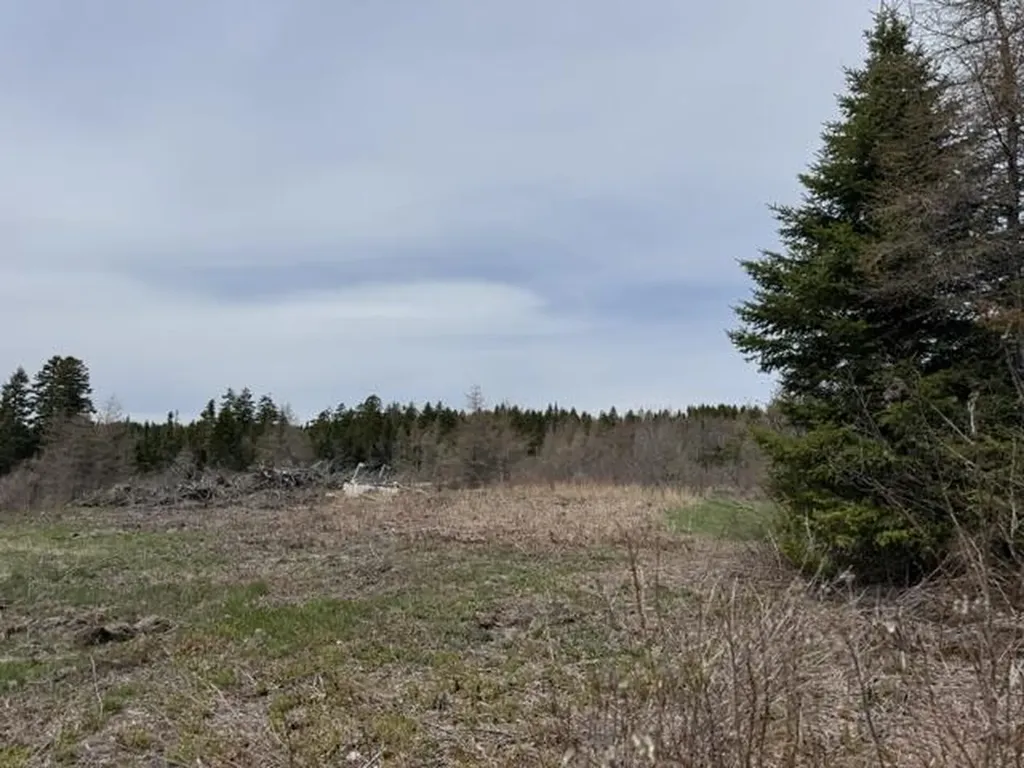 Lot 6 Holmes Bay Farms Road Whiting ME 04691