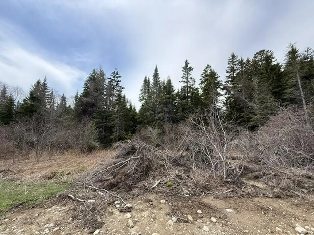 Lot 6 Holmes Bay Farms Road Whiting ME 04691