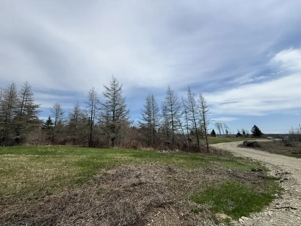 Lot 6 Holmes Bay Farms Road Whiting ME 04691
