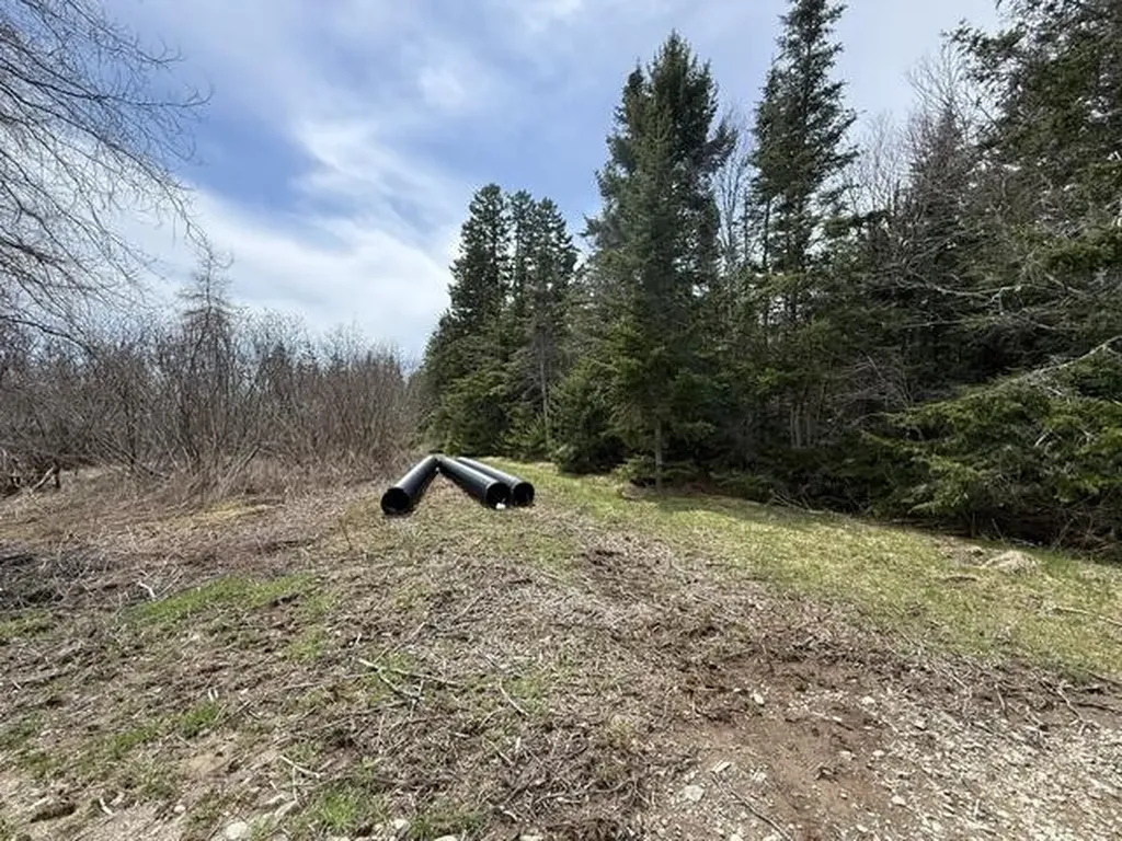 Lot 6 Holmes Bay Farms Road Whiting ME 04691