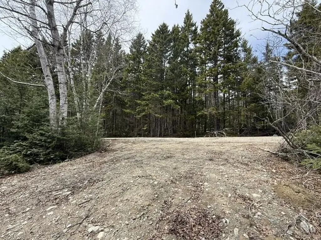 Lot 6 Holmes Bay Farms Road Whiting ME 04691