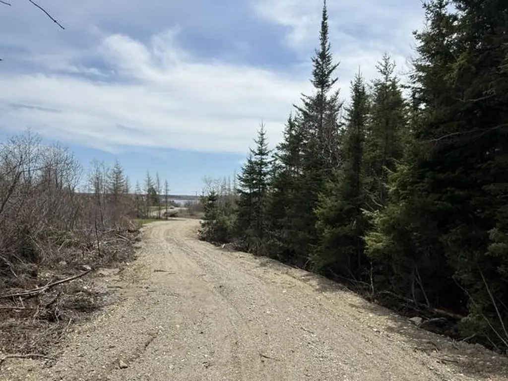 Lot 6 Holmes Bay Farms Road Whiting ME 04691
