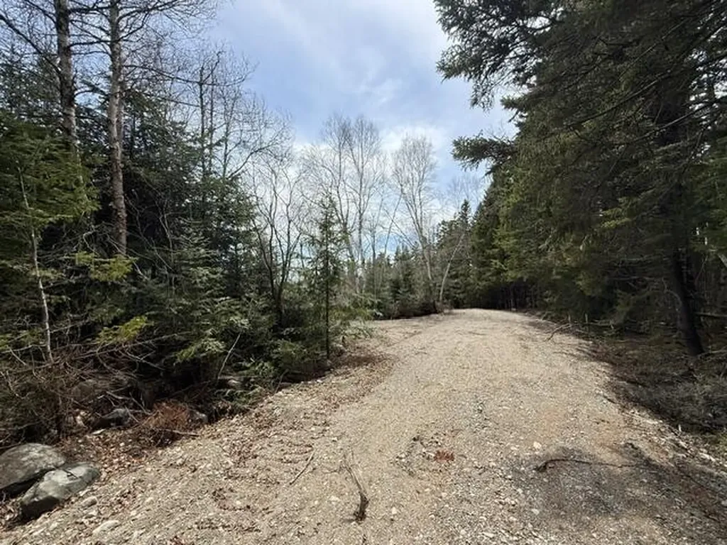 Lot 6 Holmes Bay Farms Road Whiting ME 04691