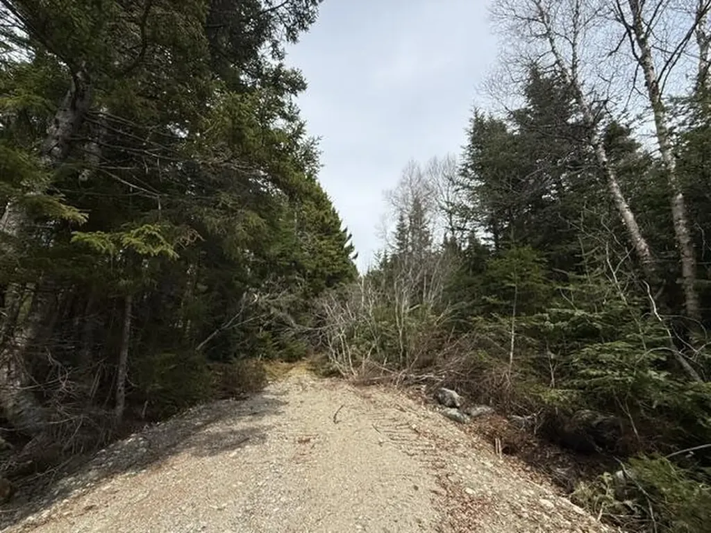 Lot 6 Holmes Bay Farms Road Whiting ME 04691