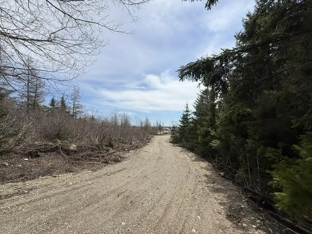 Lot 6 Holmes Bay Farms Road Whiting ME 04691