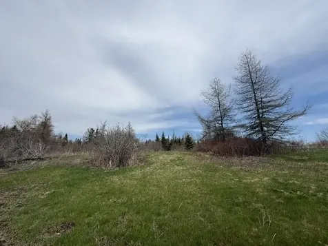Lot 6 Holmes Bay Farms Road Whiting ME 04691