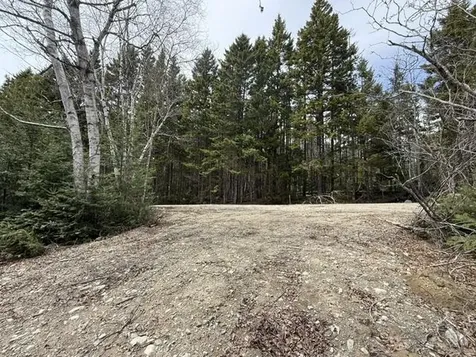 Lot 6 Holmes Bay Farms Road Whiting ME 04691