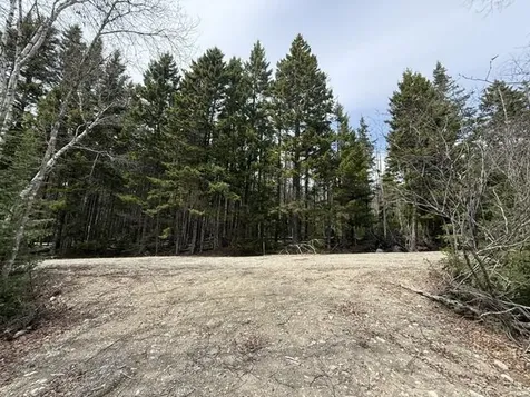 Lot 6 Holmes Bay Farms Road Whiting ME 04691