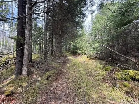 Lot 6 Holmes Bay Farms Road Whiting ME 04691