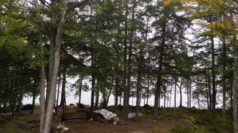 5-27 Cooks Island Orneville Twp ME 04463