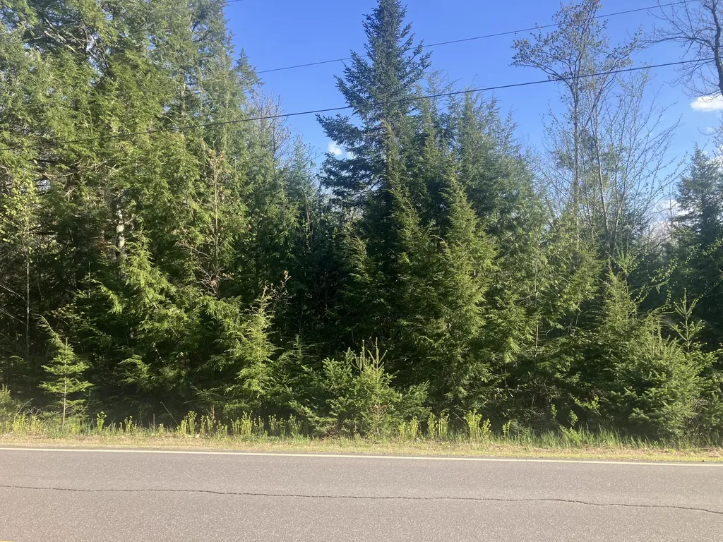 Lot 90-1 Woodmans Mill Road Searsmont ME 04973
