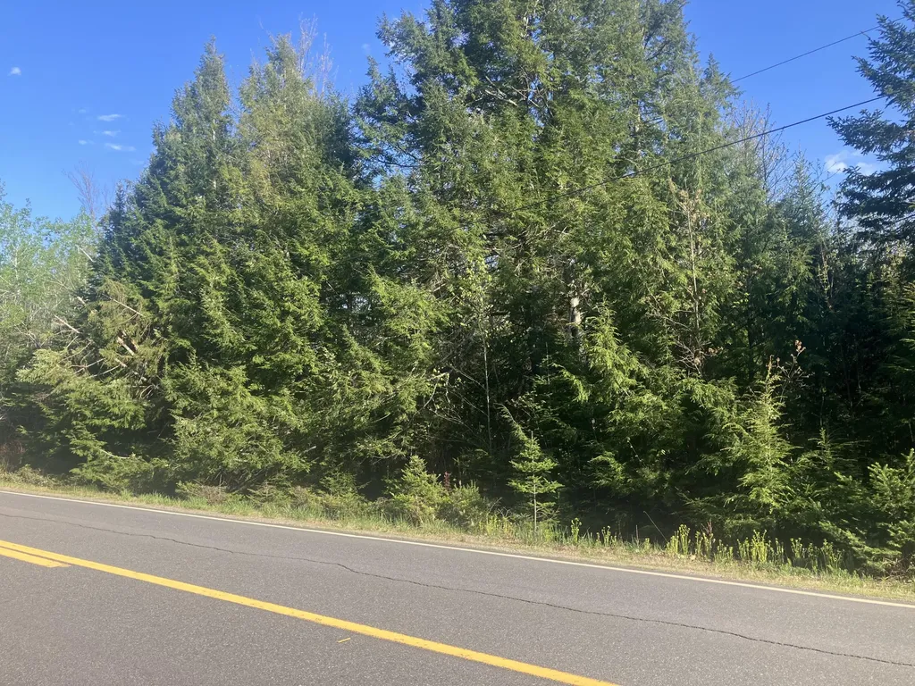 Lot 90-1 Woodmans Mill Road Searsmont ME 04973