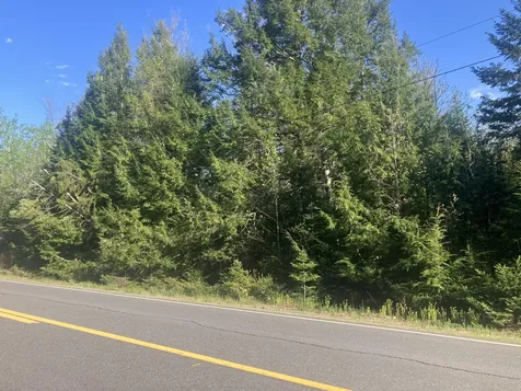 Lot 90-1 Woodmans Mill Road Searsmont ME 04973