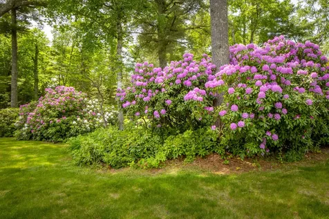 154 Chestnut Street Camden ME 04843