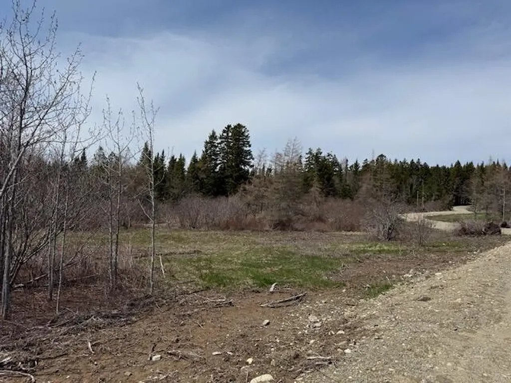 Lot 5 Holmes Bay Farms Road Whiting ME 04691