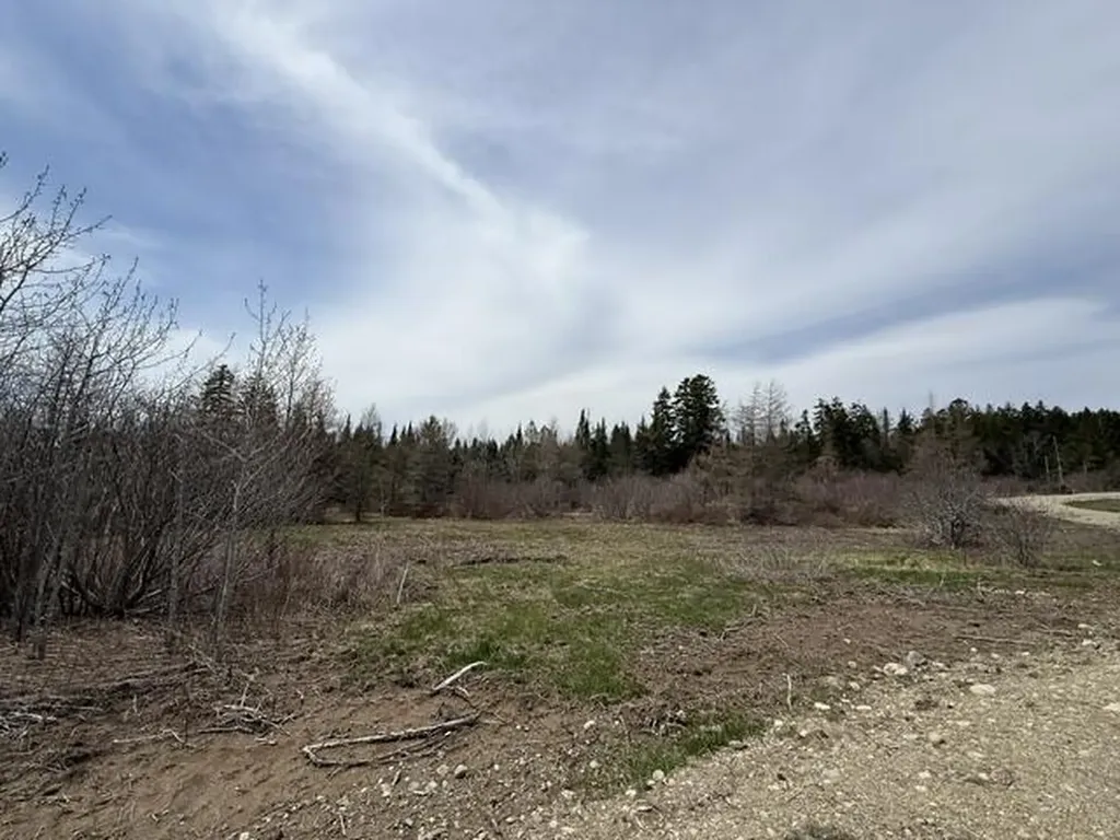 Lot 5 Holmes Bay Farms Road Whiting ME 04691