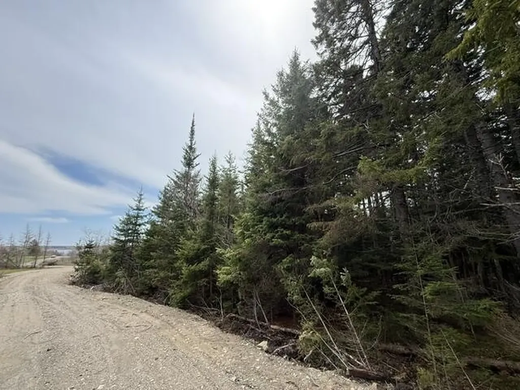 Lot 5 Holmes Bay Farms Road Whiting ME 04691
