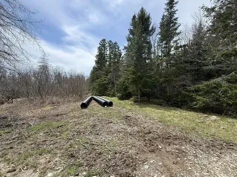 Lot 5 Holmes Bay Farms Road Whiting ME 04691