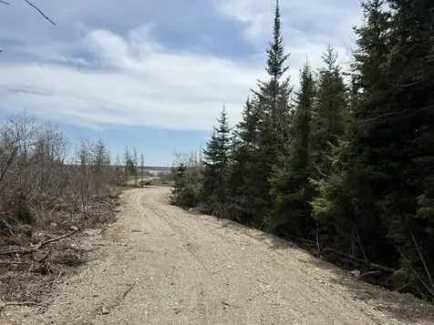 Lot 5 Holmes Bay Farms Road Whiting ME 04691