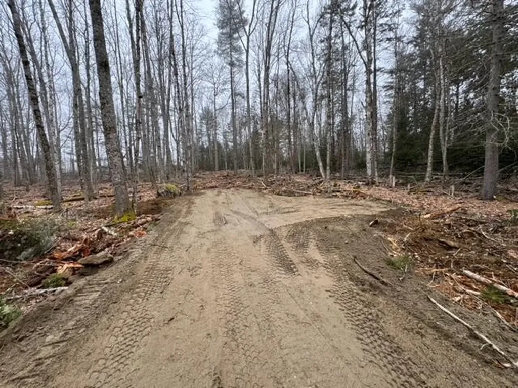 Tbd Beech Hill Road Blue Hill ME 04614