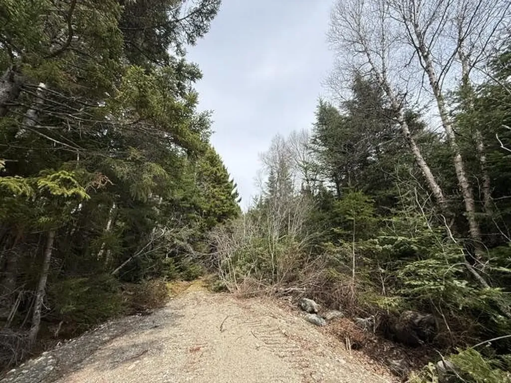 Lot 4 Holmes Bay Farms Road Whiting ME 04691