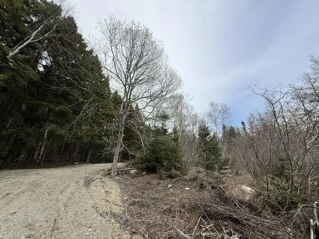 Lot 4 Holmes Bay Farms Road Whiting ME 04691