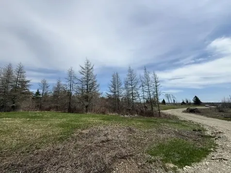 Lot 4 Holmes Bay Farms Road Whiting ME 04691