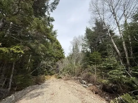 Lot 4 Holmes Bay Farms Road Whiting ME 04691