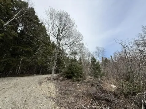 Lot 4 Holmes Bay Farms Road Whiting ME 04691