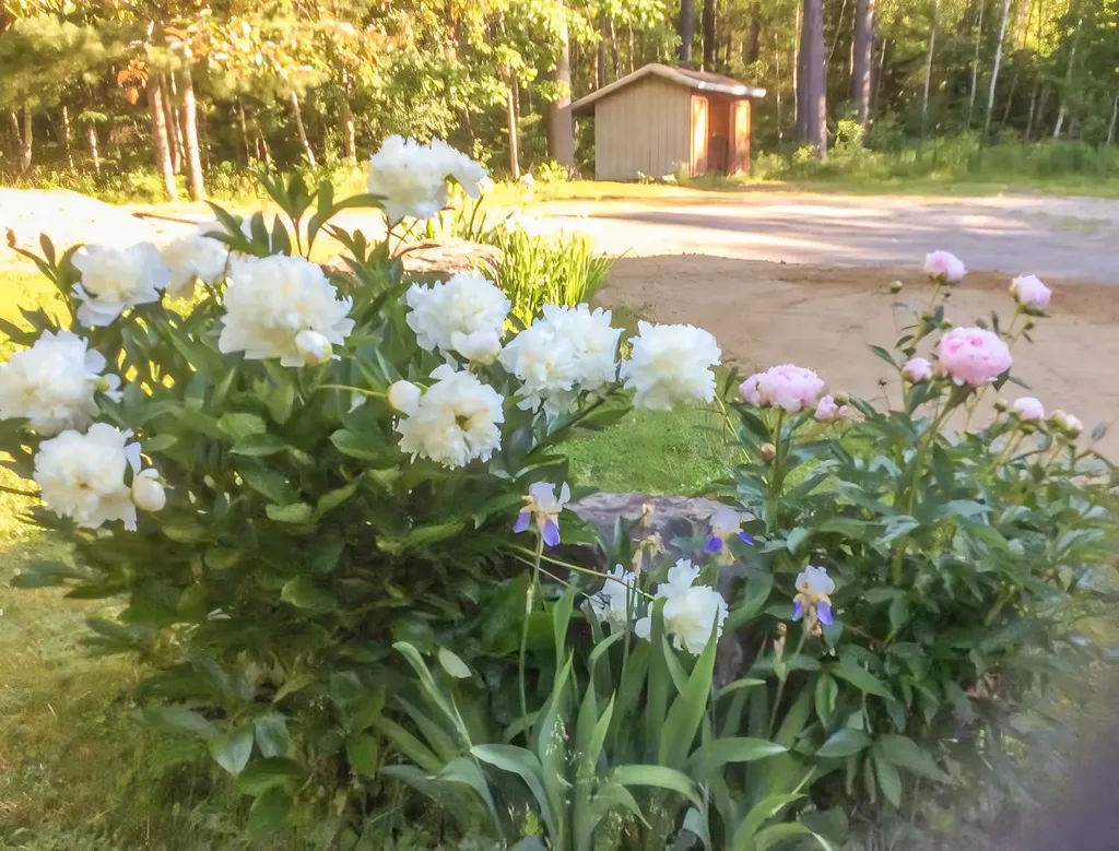 15 Castaway Drive Orland ME 04472
