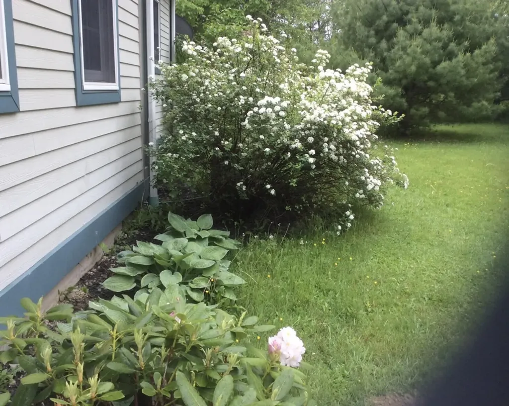 15 Castaway Drive Orland ME 04472