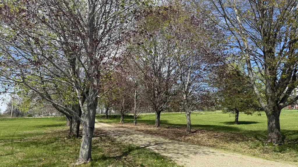 195 Greenbush Road Corinna ME 04928
