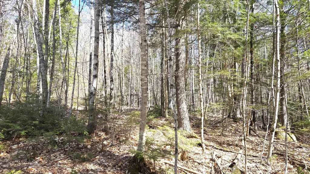 357 Lakeville Road Lakeville ME 04487