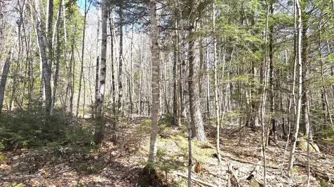 357 Lakeville Road Lakeville ME 04487