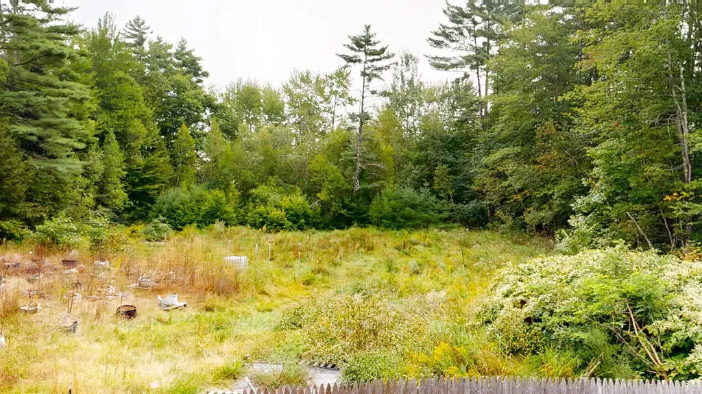 13 Black Bear Road Fryeburg ME 04037