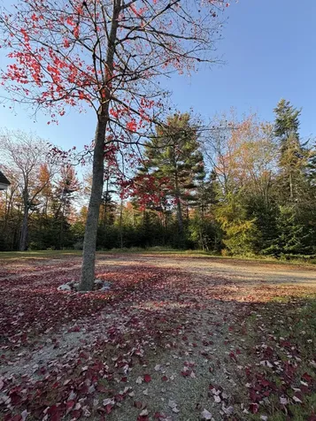 25 Kennel Brook Drive Lamoine ME 04605