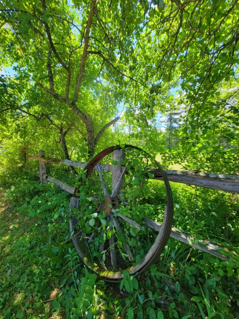 890 Salem Road Freeman Twp ME 04983