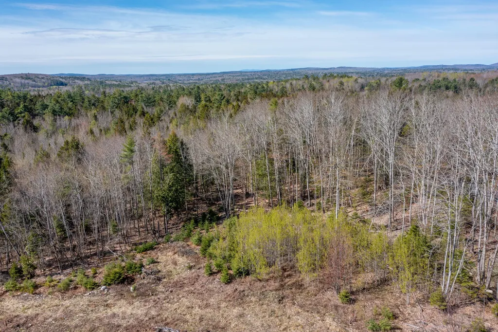 769 Bucksmills Road Bucksport ME 04416