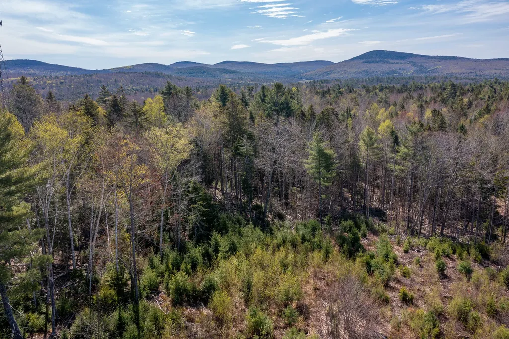 769 Bucksmills Road Bucksport ME 04416