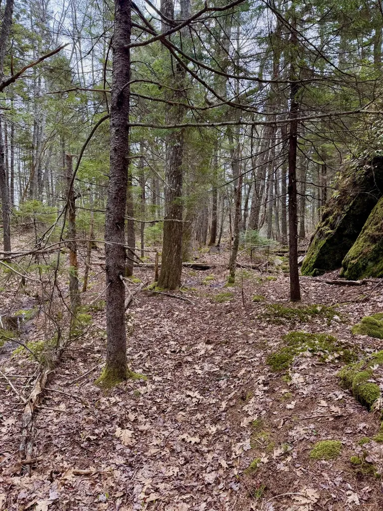Lot 85 Pension Ridge Road Boothbay ME 04537