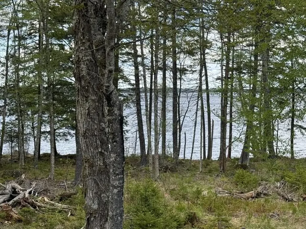 LOT12PART Old Indian Trail Road East Machias ME 04630