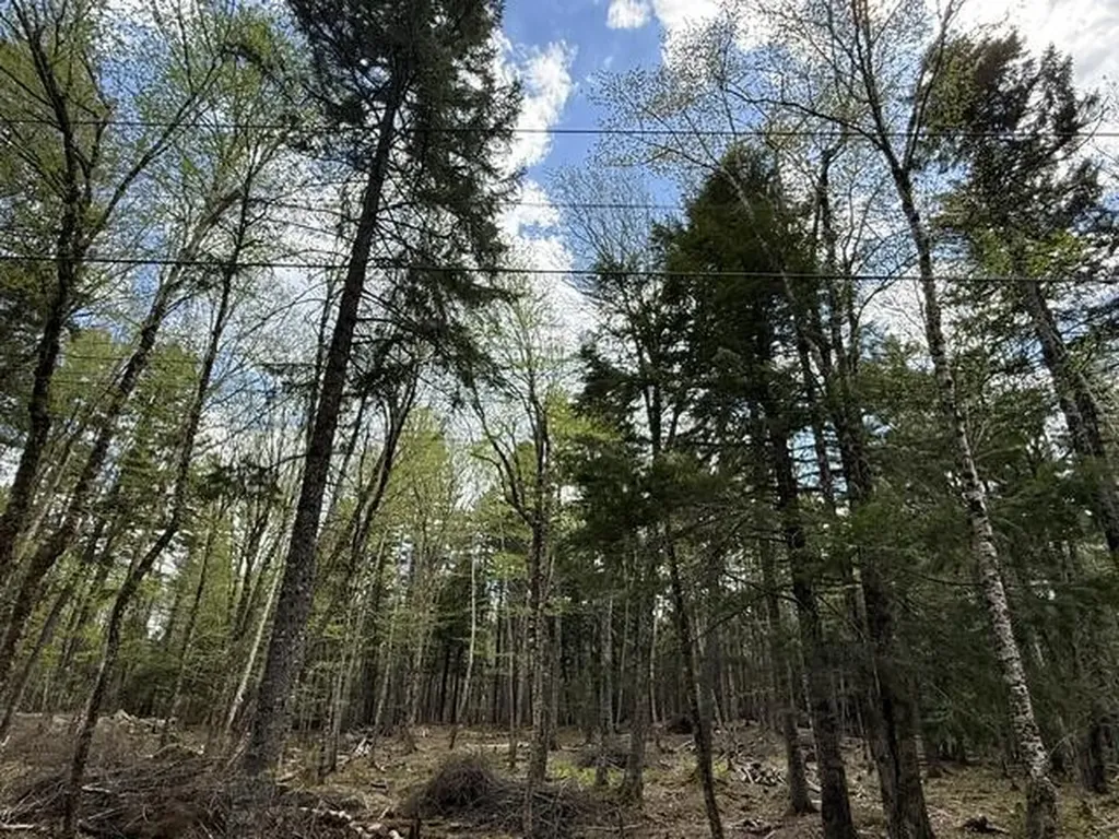 LOT12PART Old Indian Trail Road East Machias ME 04630