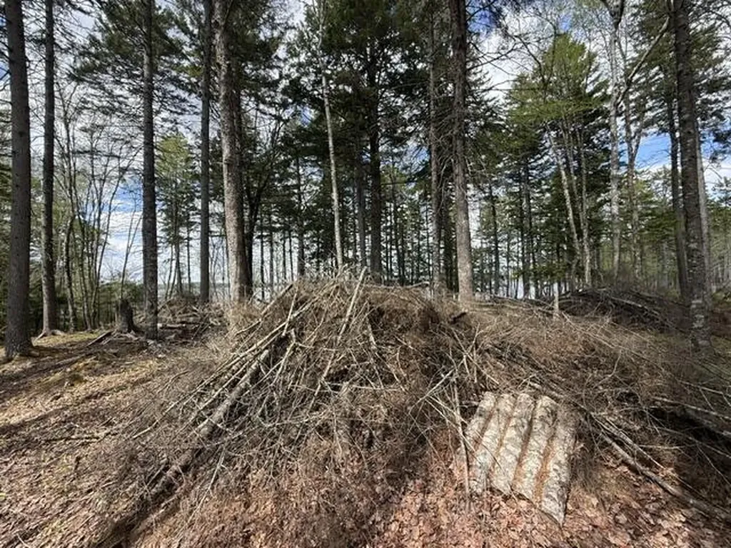 LOT12PART Old Indian Trail Road East Machias ME 04630