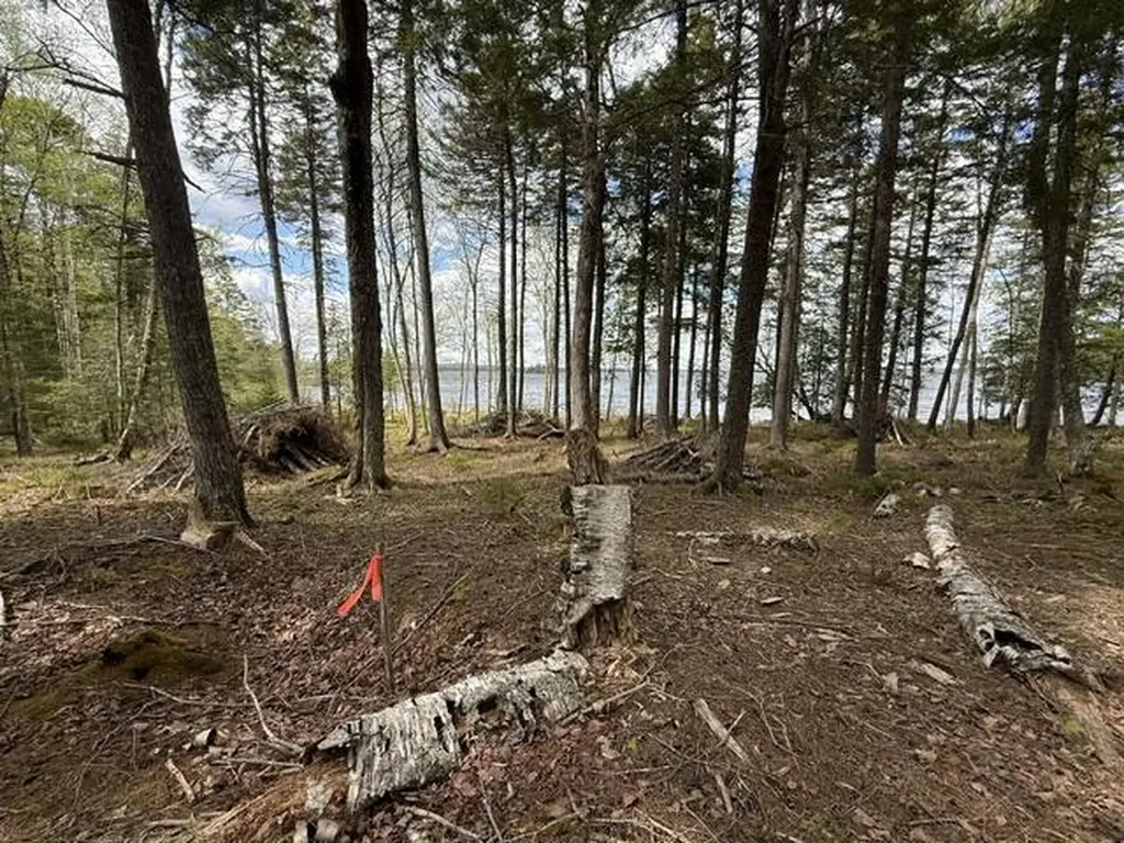LOT12PART Old Indian Trail Road East Machias ME 04630