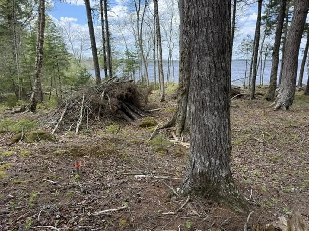 LOT12PART Old Indian Trail Road East Machias ME 04630