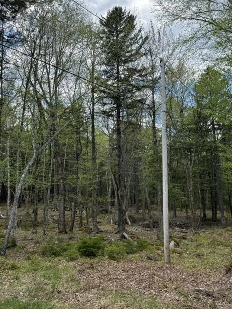 LOT12PART Old Indian Trail Road East Machias ME 04630