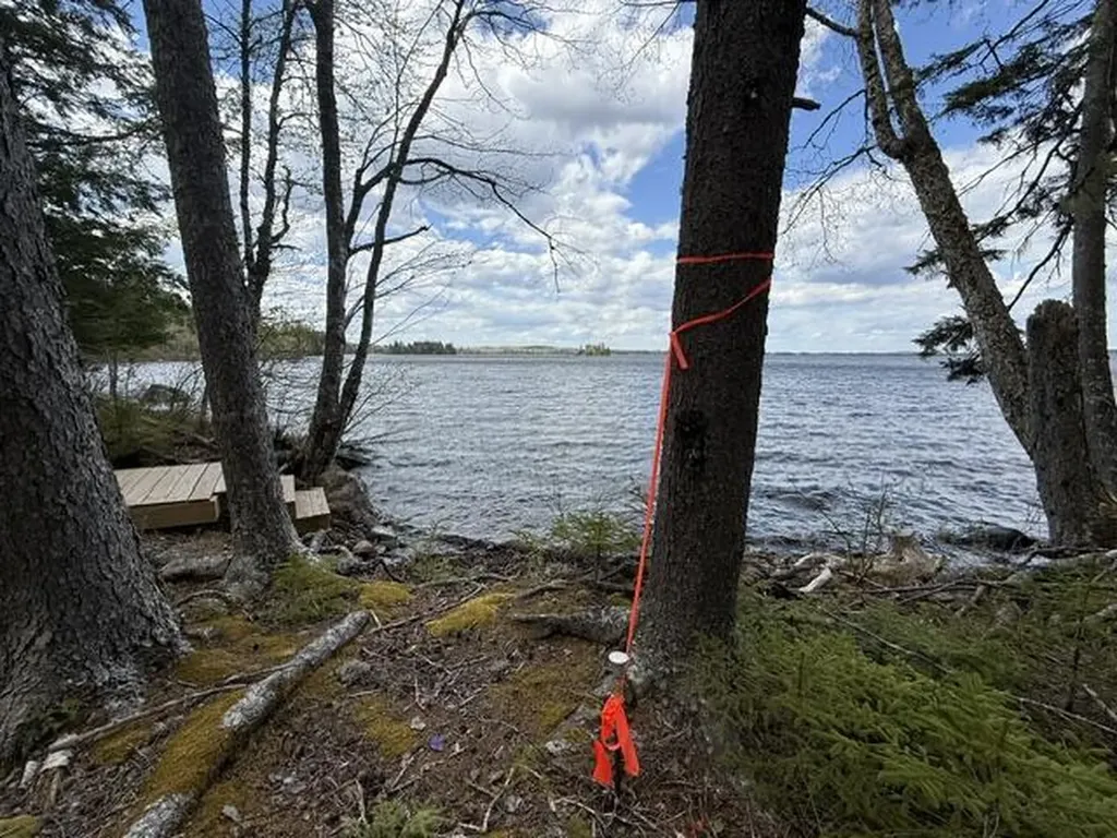 LOT12PART Old Indian Trail Road East Machias ME 04630