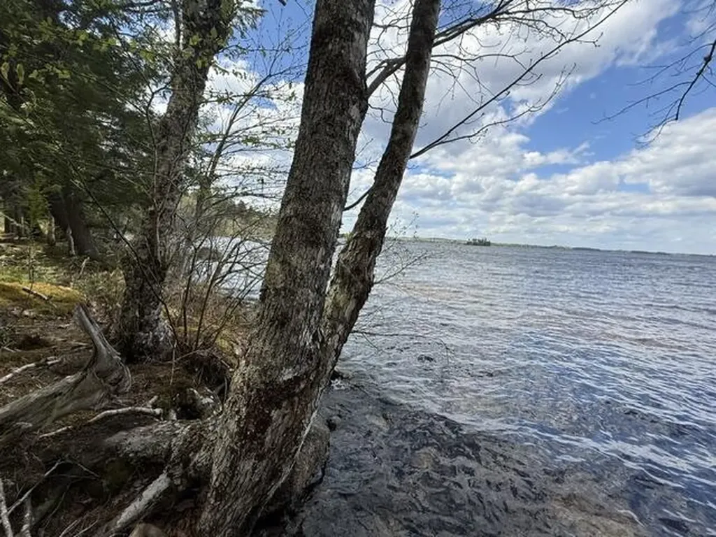 LOT12PART Old Indian Trail Road East Machias ME 04630