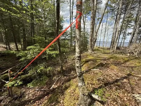 LOT12PART Old Indian Trail Road East Machias ME 04630