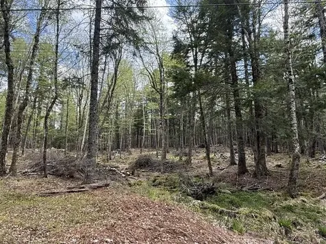 LOT12PART Old Indian Trail Road East Machias ME 04630